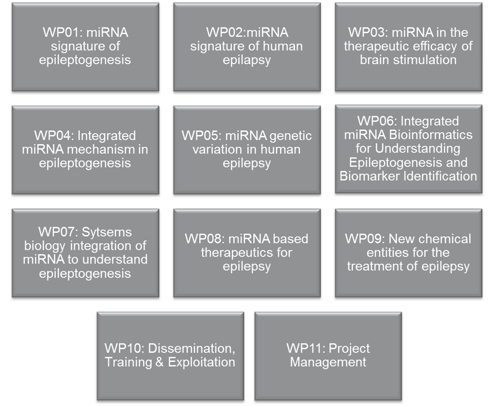 EpimiRNA Workpackages